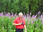 132 H tall Fireweed.jpg